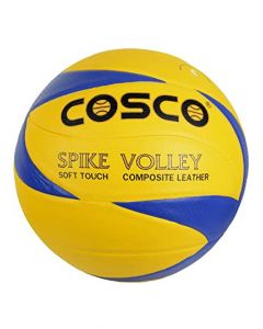 Spike Volley